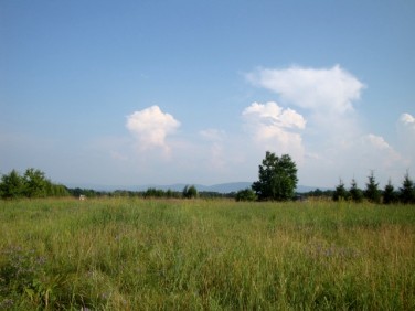 Działka rolna Hecznarowice