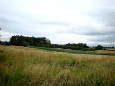 Działka budowlana Hecznarowice