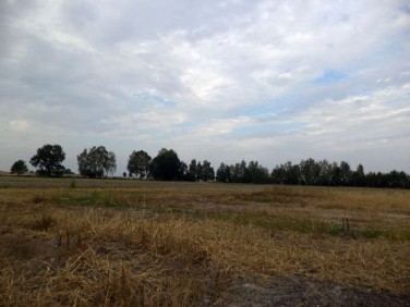 Działka budowlana Hecznarowice