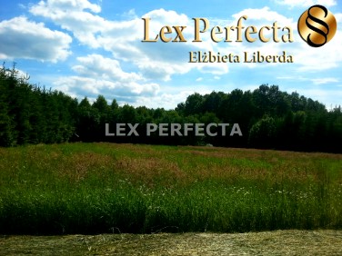 Działka budowlana Lipniak