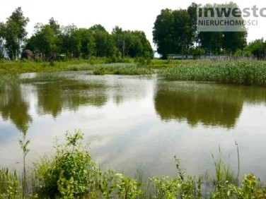 Działka siedliskowa Wrzosowo