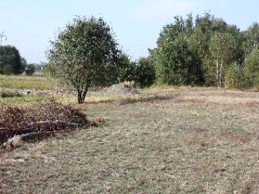 Działka budowlana Wielgolas Brzeziński