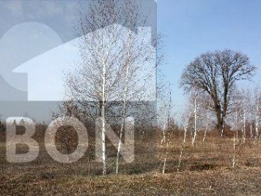 Działka budowlana Sulejówek