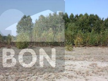 Działka budowlana Wielgolas Brzeziński