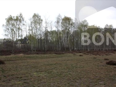 Działka budowlana Wielgolas Brzeziński