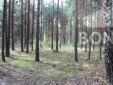 Działka budowlana Sulejówek