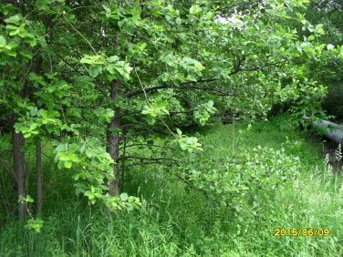 Działka komercyjna Bielsko-Biała