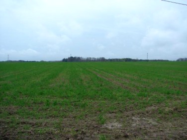 Działka rolna Góra