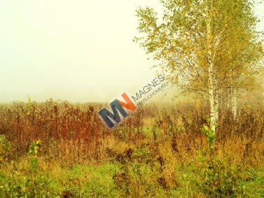 Działka rolna Prażmów