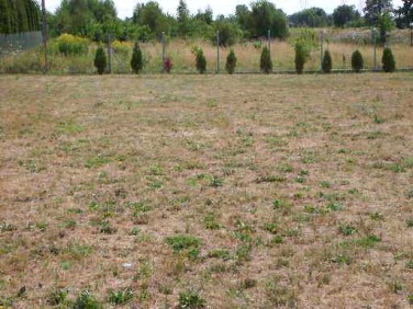 Działka budowlana Sulejówek