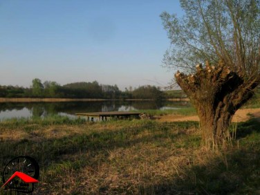 Działka rekreacyjna Dąbrówka