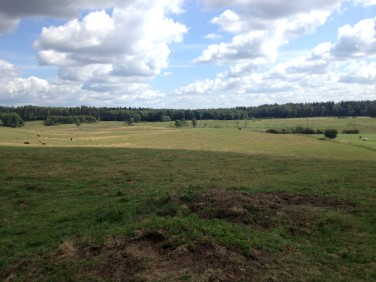 Działka budowlano-rolna Stękiny