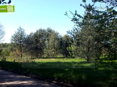 Działka budowlana Lubiatowo