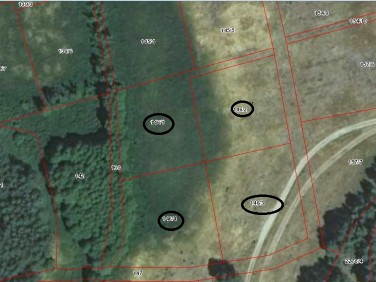 Działka siedliskowa Silna