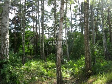 Działka budowlana Sulejówek