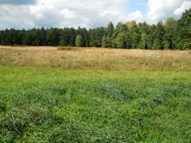 Działka budowlana Tworóg