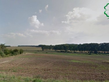 Działka budowlana Lubiatowo