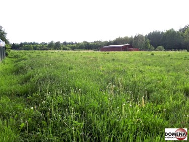 Działka usługowa Białowieża