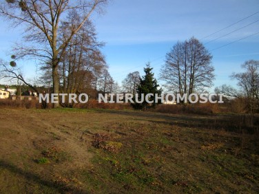 Pusta działka Brzoza