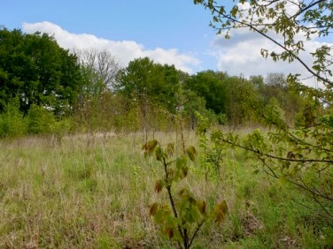 Działka budowlana Wełtyń