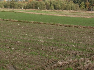 Działka budowlana Laskowice