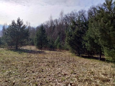 Działka budowlana Sulejówek