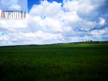 Działka budowlana Stare Brynki