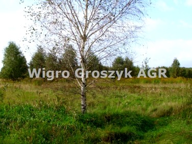 Działka rolna Kręczki