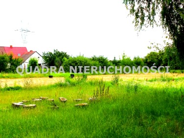 Działka inwestycyjna Przylep