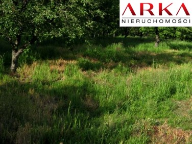 Działka budowlana Wodzisław Śląski