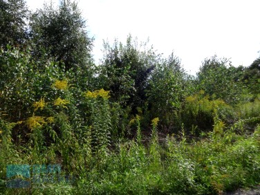 Działka budowlana Budy-Grzybek