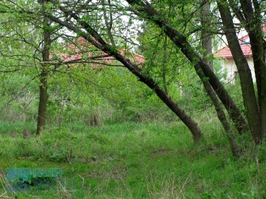 Działka Budy-Grzybek