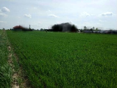 Działka budowlana Przeworsk