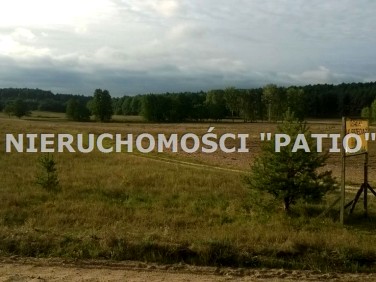 Działka siedliskowa Silna