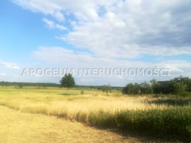 Działka budowlana Sochonie