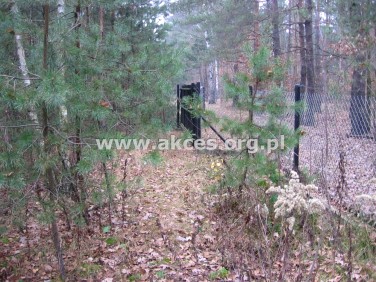 Działka leśna Otwock