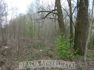 Działka budowlana Sulejówek