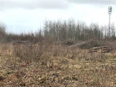 Działka inwestycyjna Jankowo Gdańskie