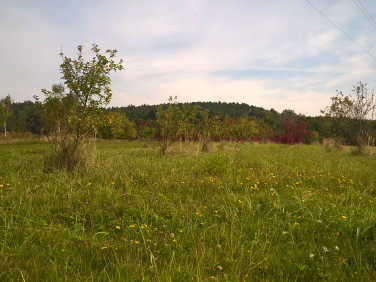 Działka budowlano-rolna Poręba Żegoty