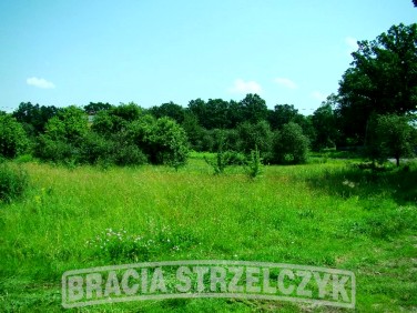 Działka inwestycyjna Sulejówek