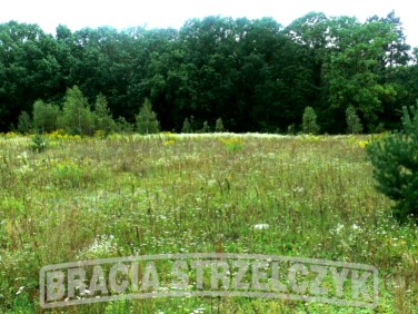 Działka budowlana Sulejówek