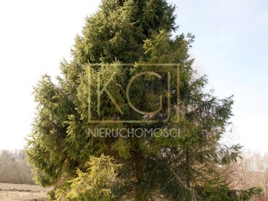 Działka budowlana Koleczkowo