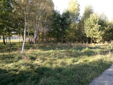 Działka budowlana Sulejówek