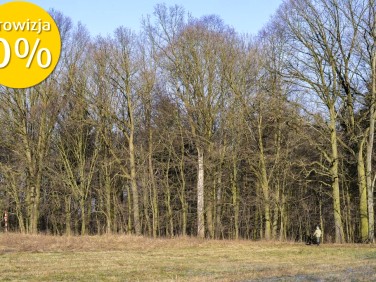 Działka budowlana Prażmów