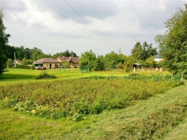 Pusta działka Czechowice-Dziedzice