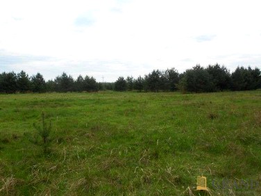 Działka budowlana Sowno sprzedam