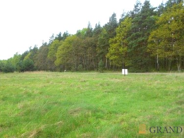 Działka budowlana Sowno sprzedam