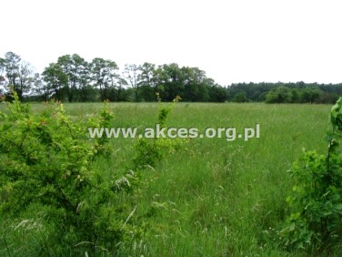 Działka budowlana Baszkówka