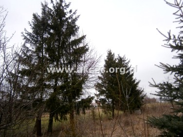 Działka budowlana Glinianka