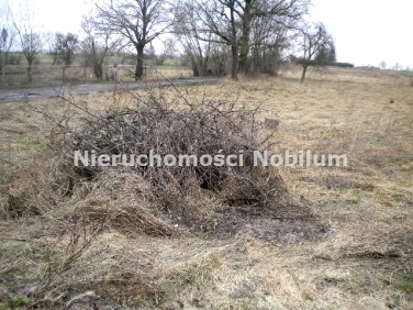 Działka budowlana Środa Śląska